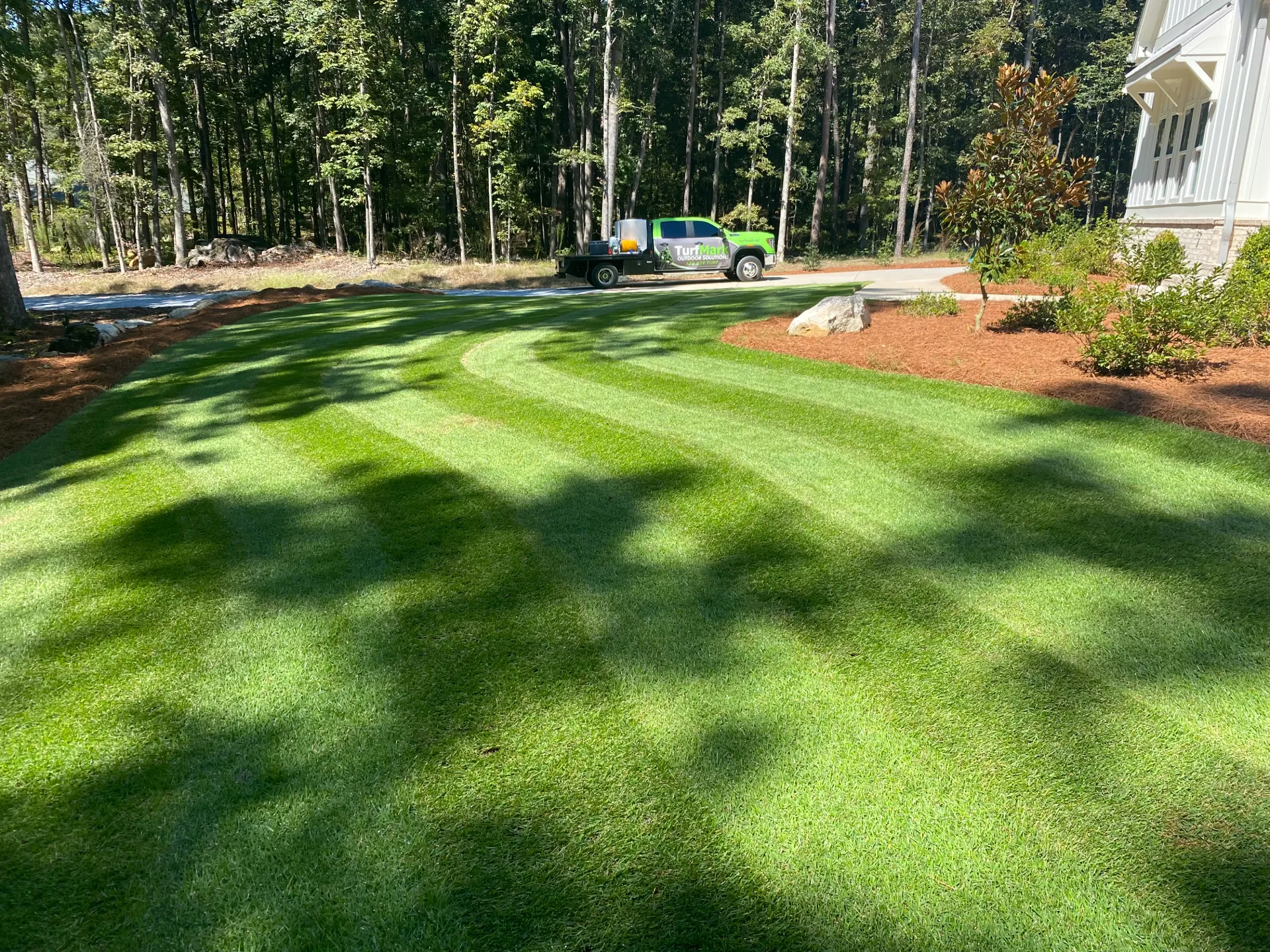 A long striped lawn in dappled shade beside a curving driveway