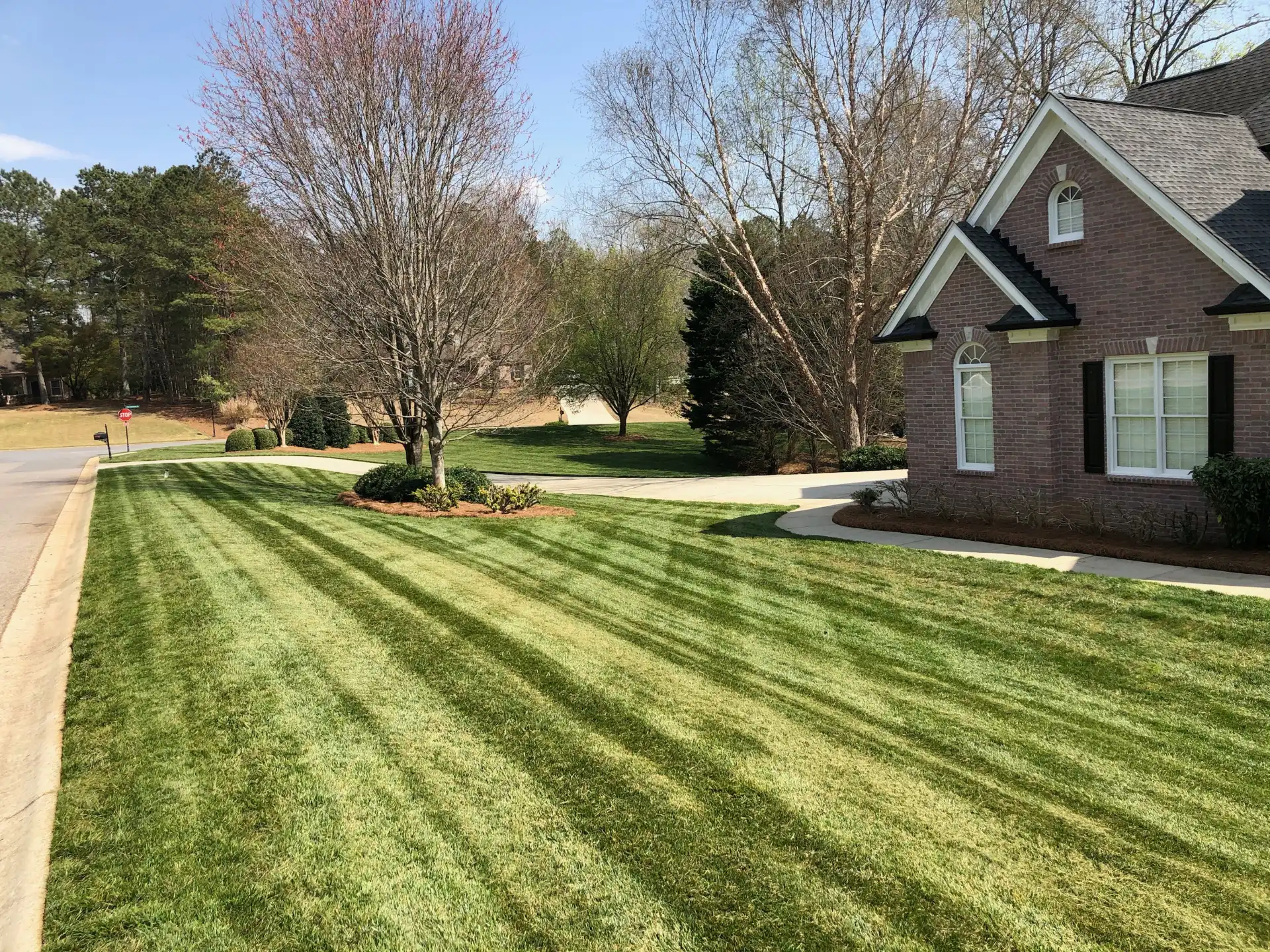 Bold mowing stripes across a front lawn beside a brick house in early spring