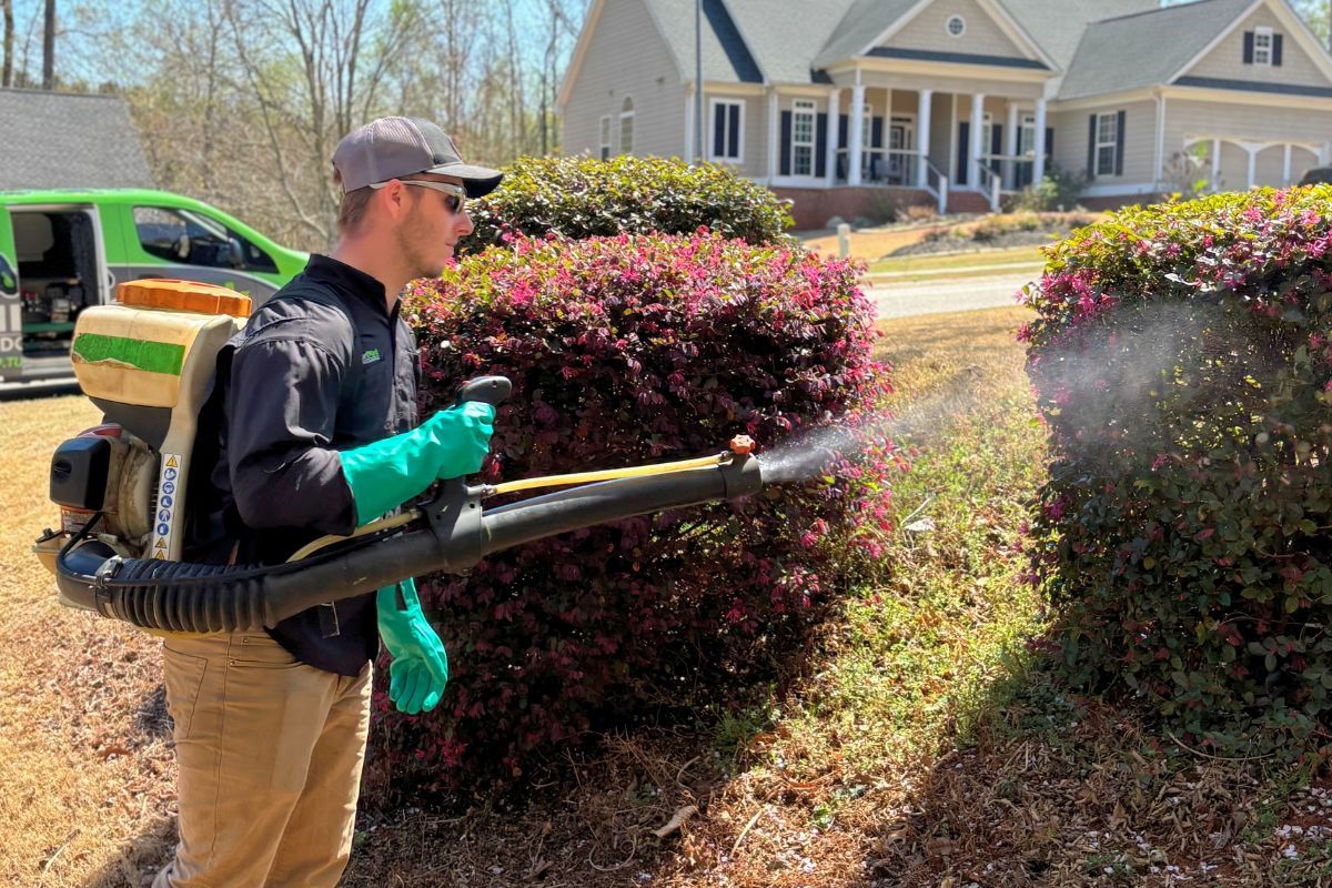 A TurfMark technician misting a hedge for mosquitoes, with a TurfMark truck behind him
