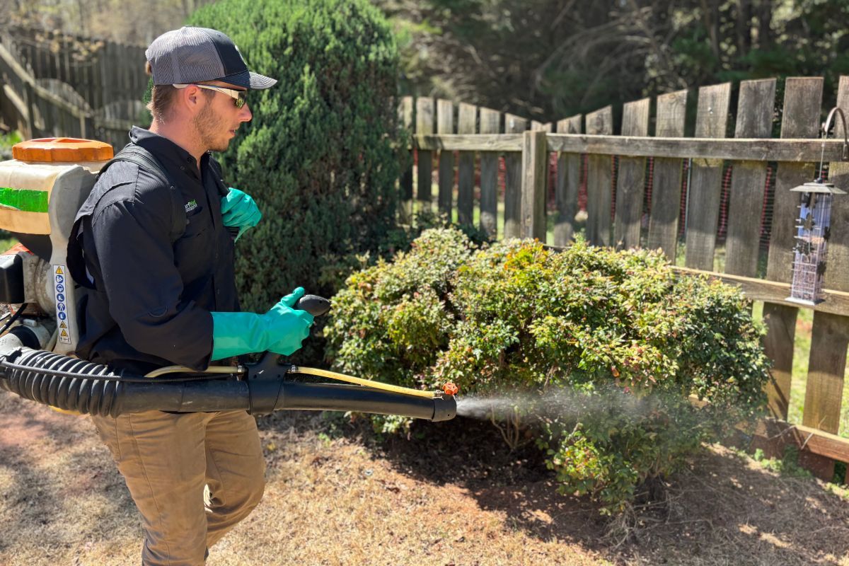 A TurfMark technician misting shrubs along a wooden fence